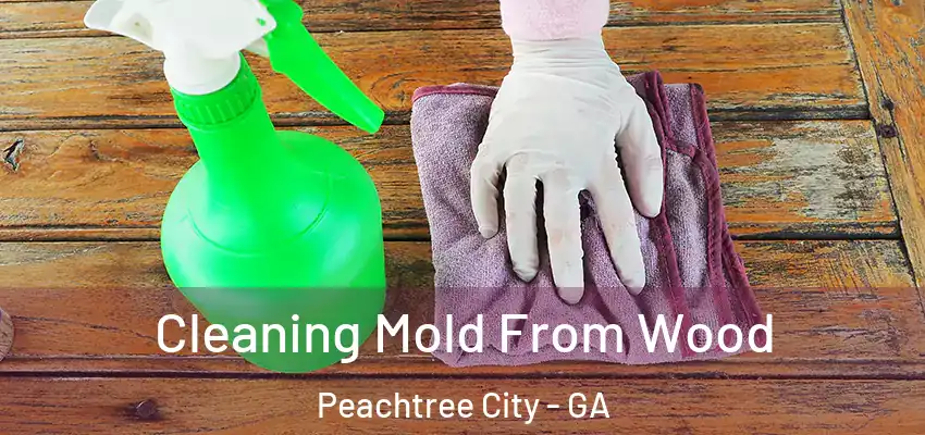  Cleaning Mold From Wood Peachtree City - GA