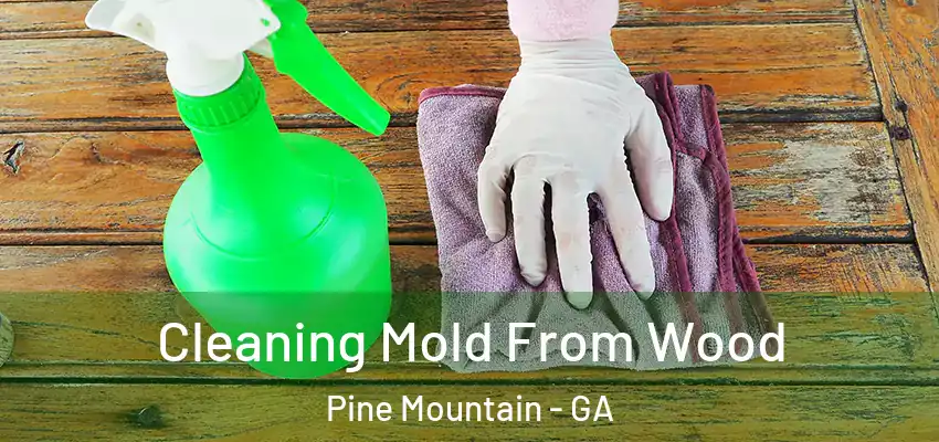  Cleaning Mold From Wood Pine Mountain - GA