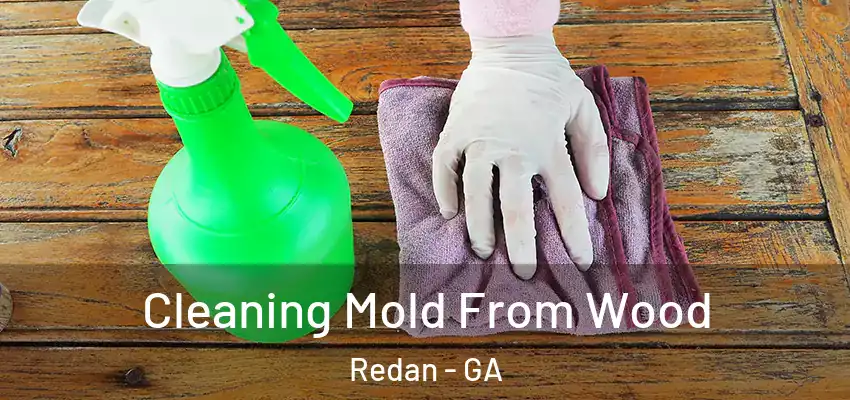 Cleaning Mold From Wood Redan - GA