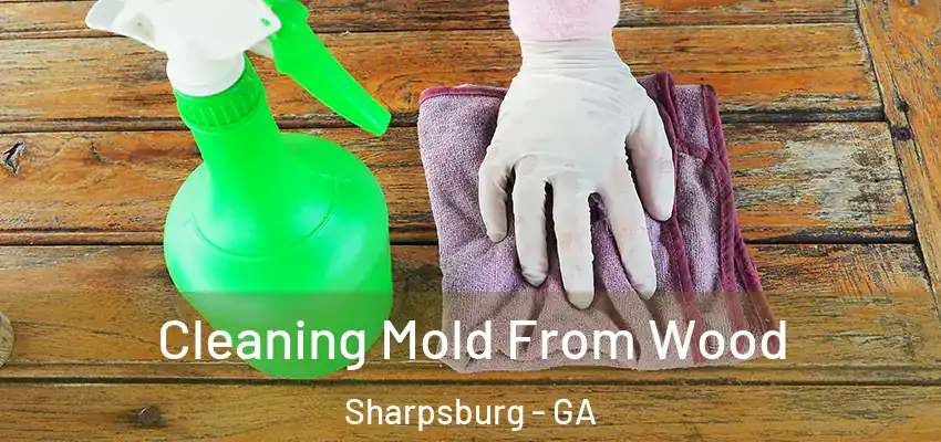 Cleaning Mold From Wood Sharpsburg - GA