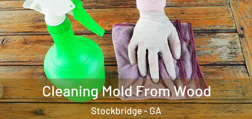  Cleaning Mold From Wood Stockbridge - GA