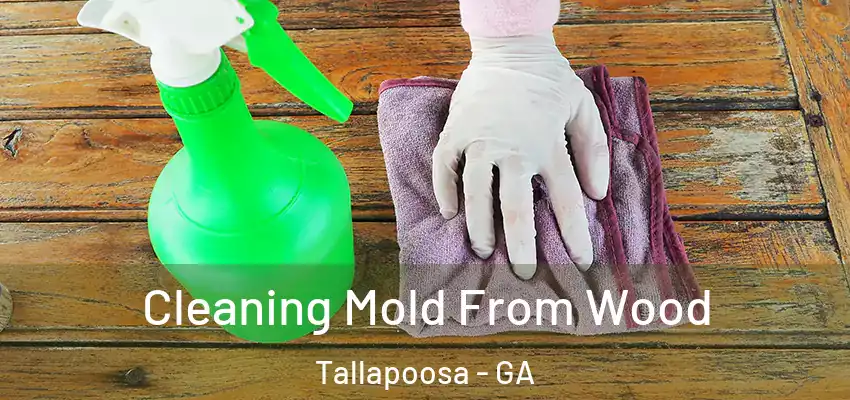  Cleaning Mold From Wood Tallapoosa - GA
