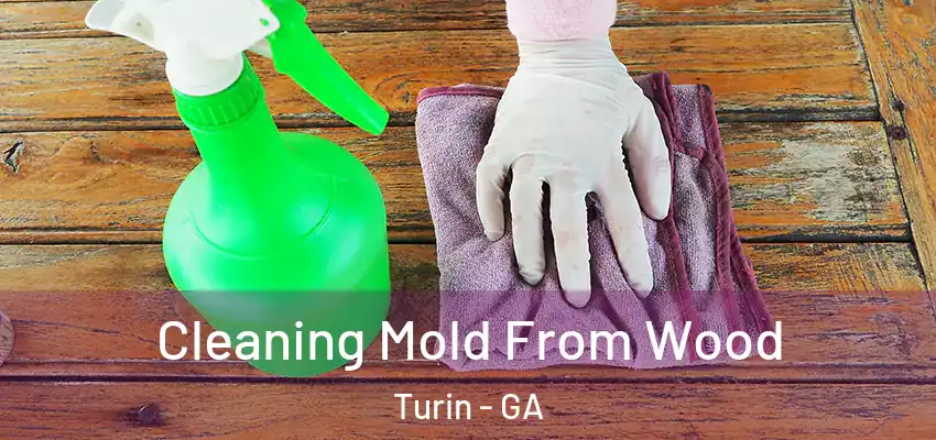 Cleaning Mold From Wood Turin - GA