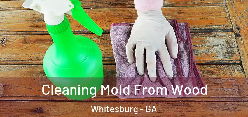 Cleaning Mold From Wood Whitesburg - GA