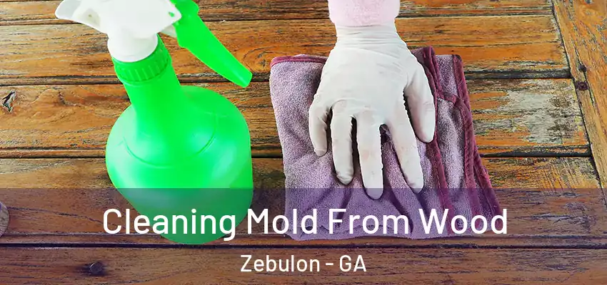 Cleaning Mold From Wood Zebulon - GA