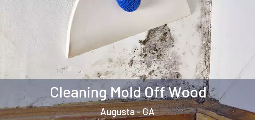 Cleaning Mold Off Wood Augusta - GA