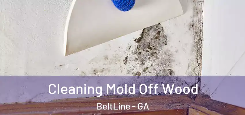 Cleaning Mold Off Wood BeltLine - GA