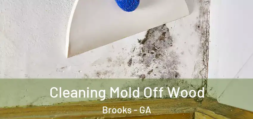  Cleaning Mold Off Wood Brooks - GA