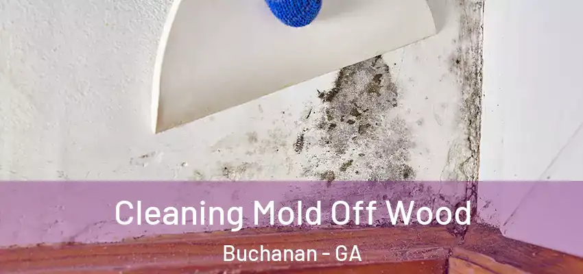 Cleaning Mold Off Wood Buchanan - GA