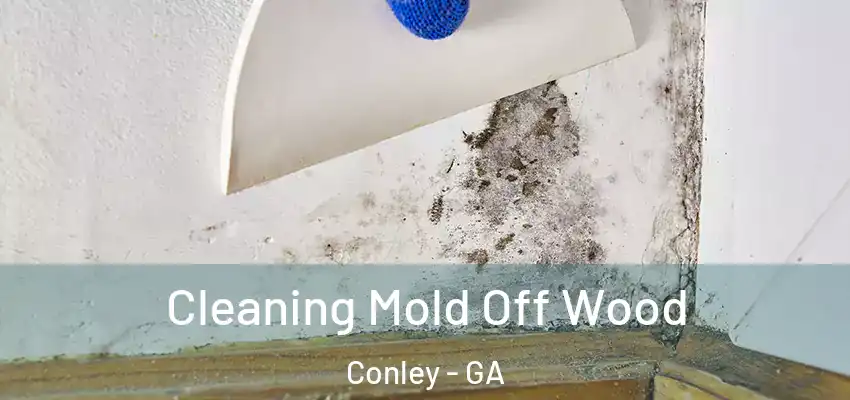Cleaning Mold Off Wood Conley - GA