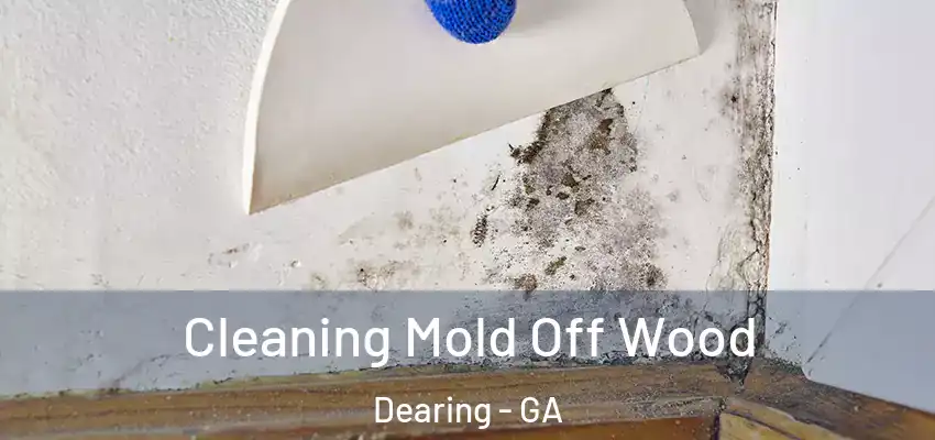Cleaning Mold Off Wood Dearing - GA