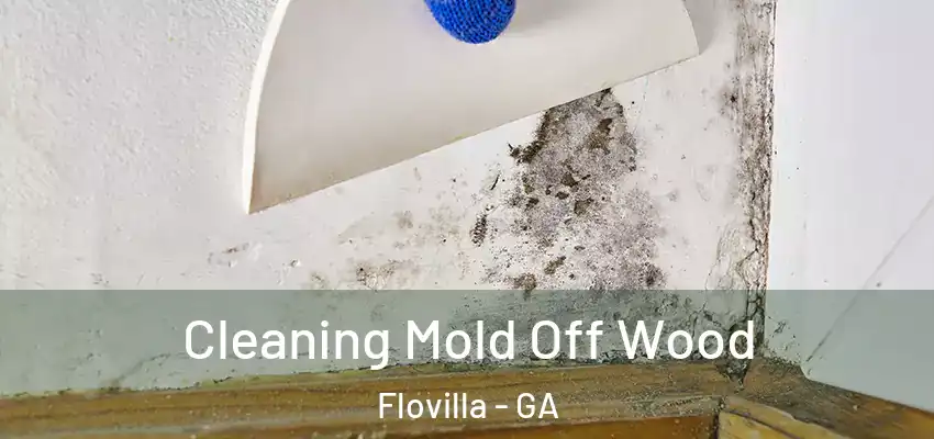 Cleaning Mold Off Wood Flovilla - GA