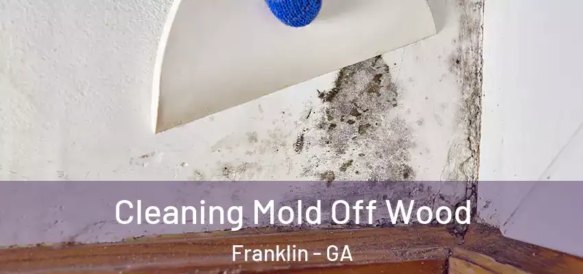 Cleaning Mold Off Wood Franklin - GA