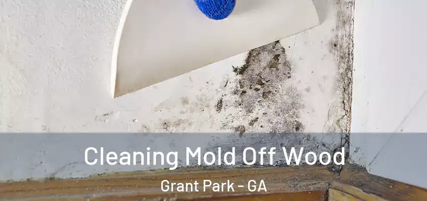 Cleaning Mold Off Wood Grant Park - GA