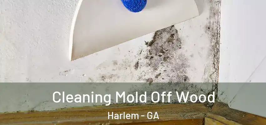 Cleaning Mold Off Wood Harlem - GA