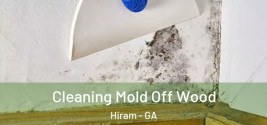 Cleaning Mold Off Wood Hiram - GA
