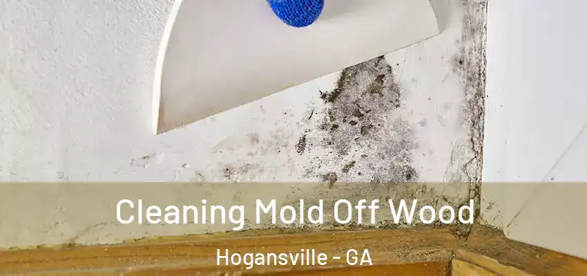 Cleaning Mold Off Wood Hogansville - GA