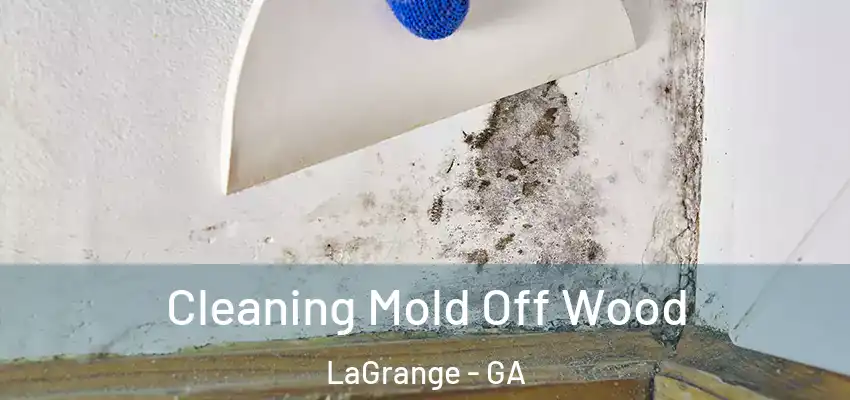 Cleaning Mold Off Wood LaGrange - GA