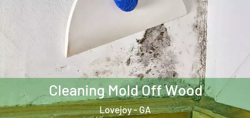 Cleaning Mold Off Wood Lovejoy - GA