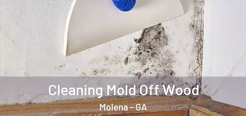 Cleaning Mold Off Wood Molena - GA