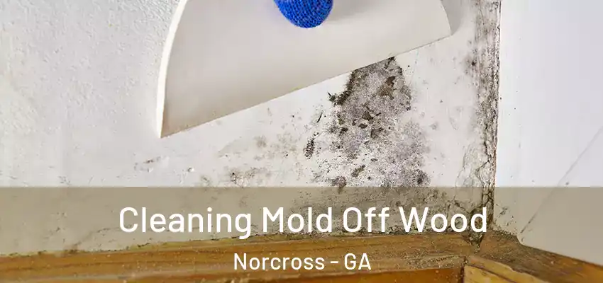  Cleaning Mold Off Wood Norcross - GA