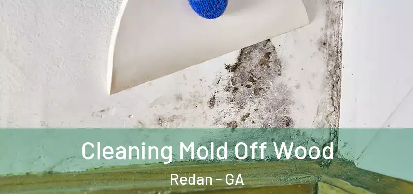 Cleaning Mold Off Wood Redan - GA