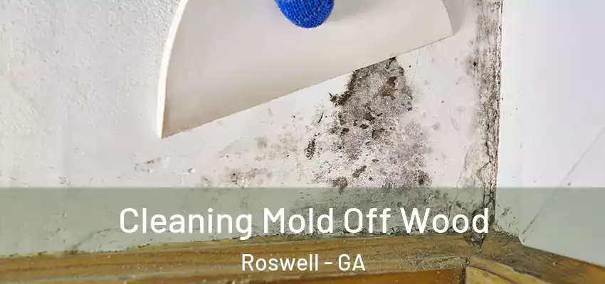 Cleaning Mold Off Wood Roswell - GA