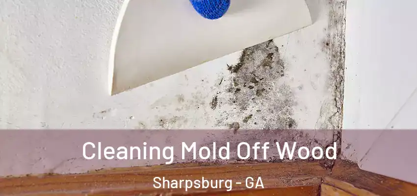 Cleaning Mold Off Wood Sharpsburg - GA