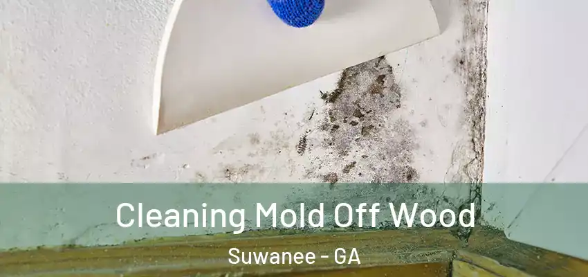 Cleaning Mold Off Wood Suwanee - GA
