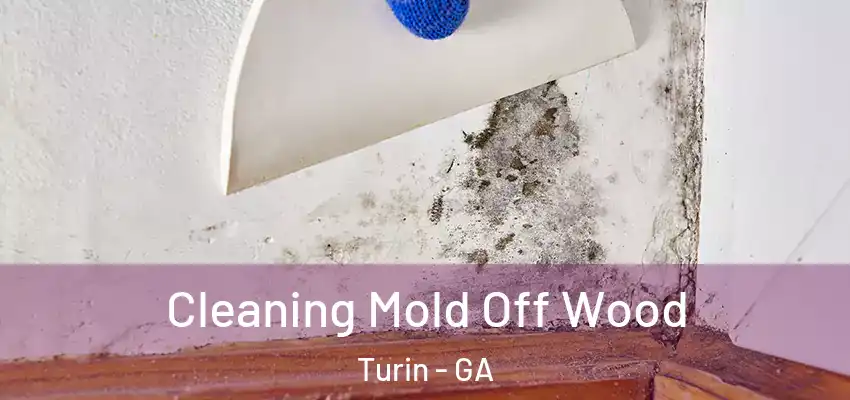 Cleaning Mold Off Wood Turin - GA