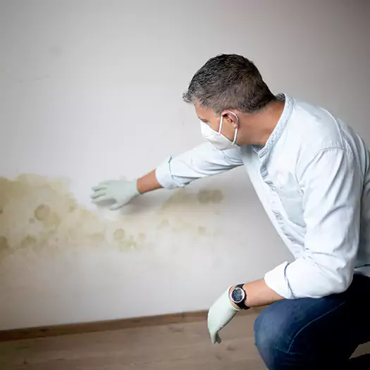 Trusted Mold Remediation and Removal Experts in Hogansville, GA