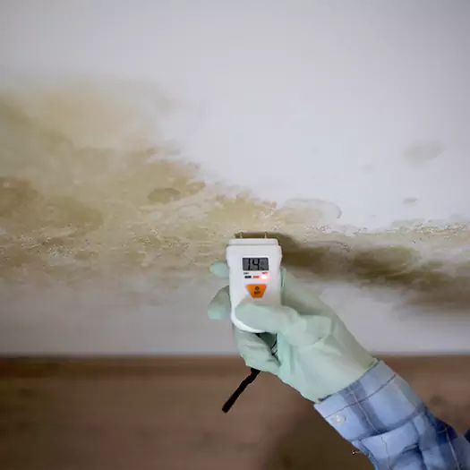 Reliable Mold Inspection Experts in Hogansville, GA