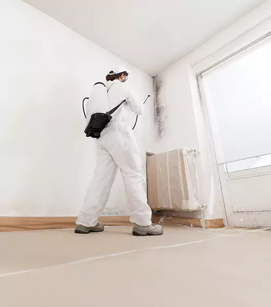 Specialists in All Areas of Mold Remediation and Water Damage Restoration in Hogansville, GA