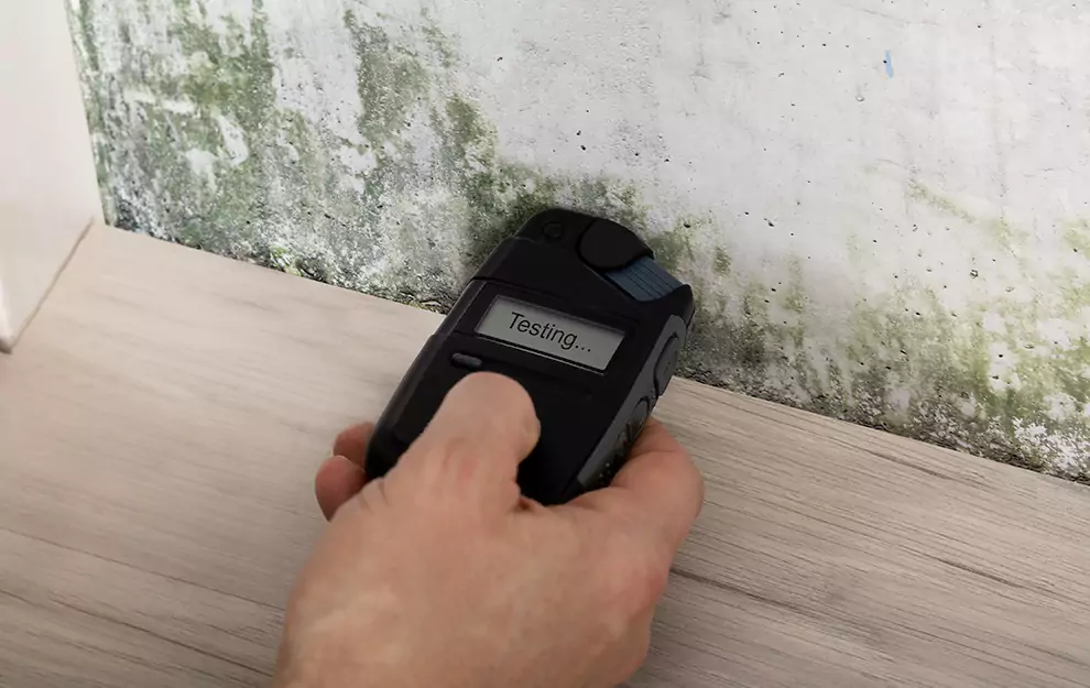 Top-Notch Mold Removal and Restoration Services in Hogansville, GA