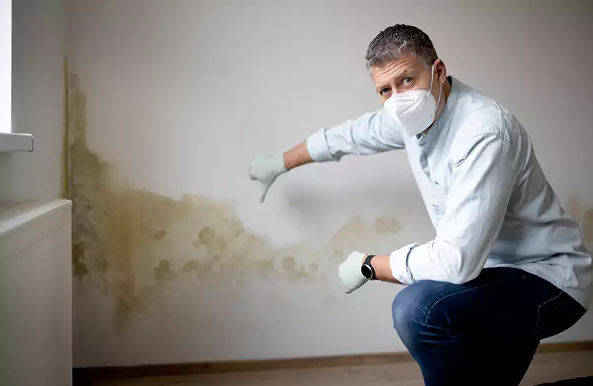 Mold Removal in Hogansville, GA