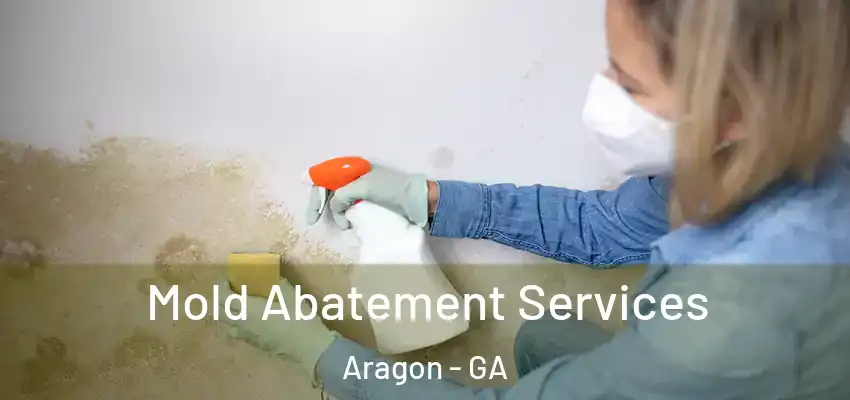 Mold Abatement Services Aragon - GA