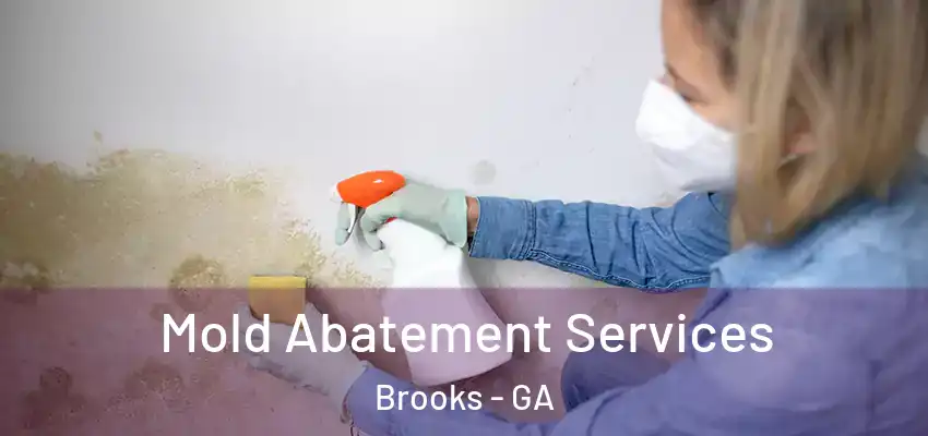 Mold Abatement Services Brooks - GA