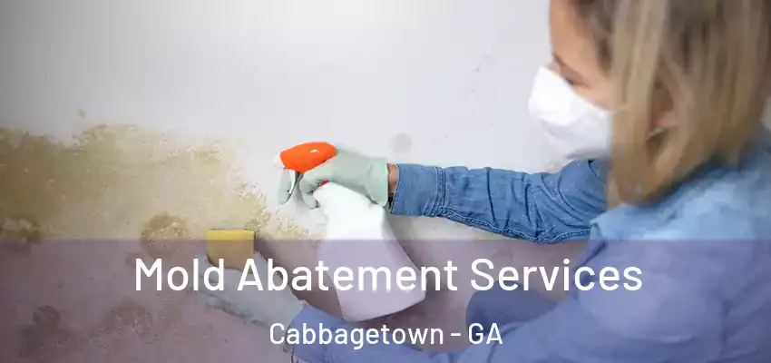 Mold Abatement Services Cabbagetown - GA