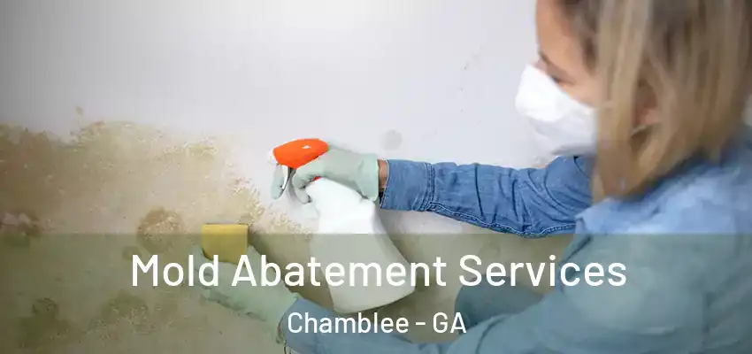  Mold Abatement Services Chamblee - GA
