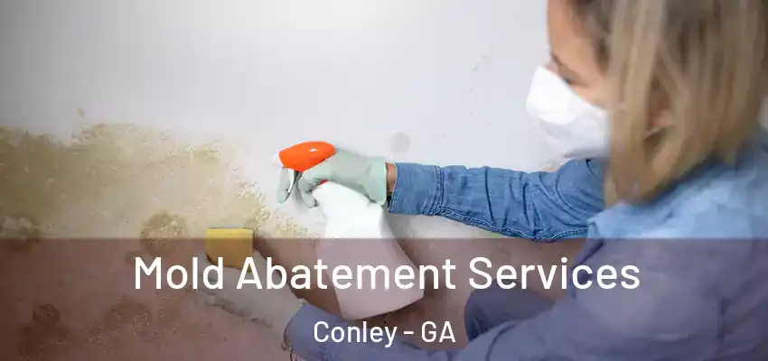 Mold Abatement Services Conley - GA