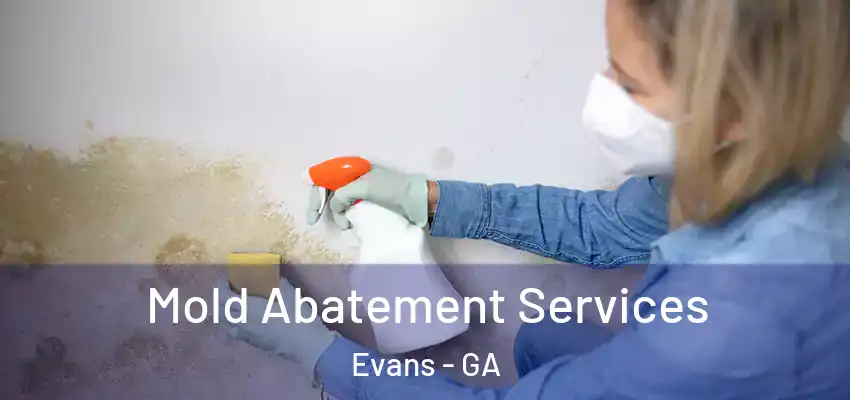 Mold Abatement Services Evans - GA