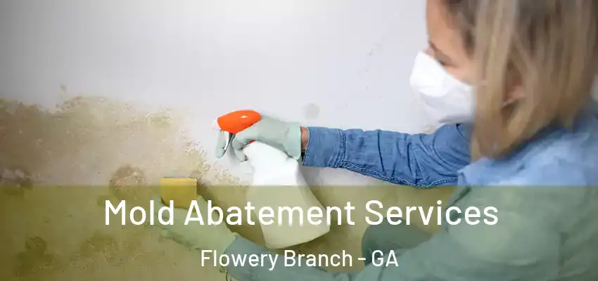 Mold Abatement Services Flowery Branch - GA