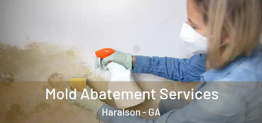  Mold Abatement Services Haralson - GA