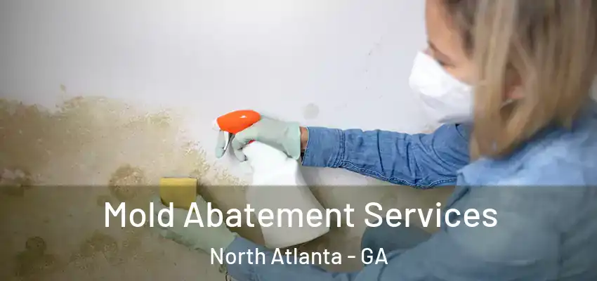 Mold Abatement Services North Atlanta - GA