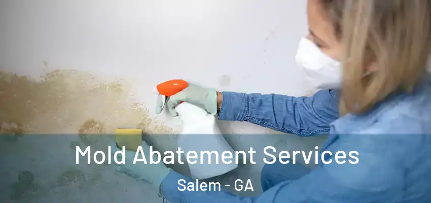 Mold Abatement Services Salem - GA