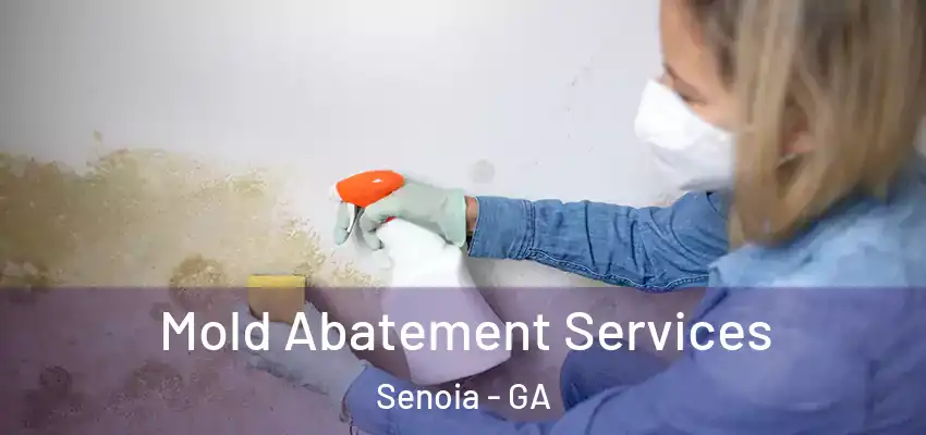 Mold Abatement Services Senoia - GA
