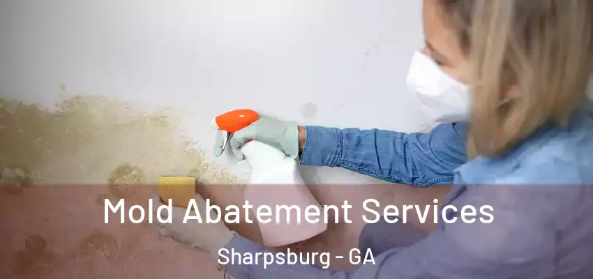  Mold Abatement Services Sharpsburg - GA