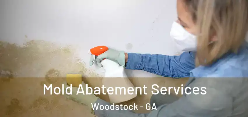 Mold Abatement Services Woodstock - GA