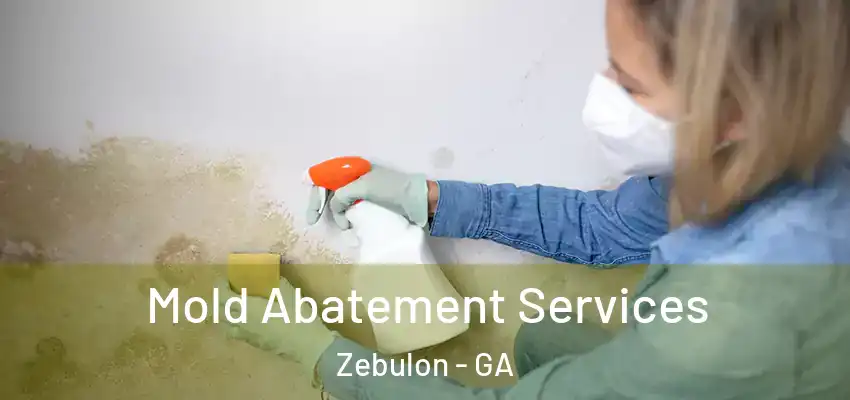 Mold Abatement Services Zebulon - GA