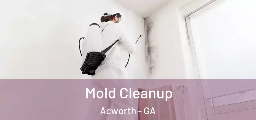  Mold Cleanup Acworth - GA